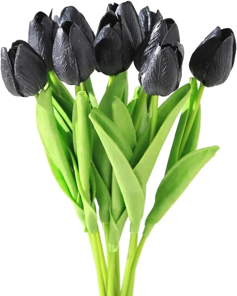 Black (Black Tulip) seeds for planting in home garden