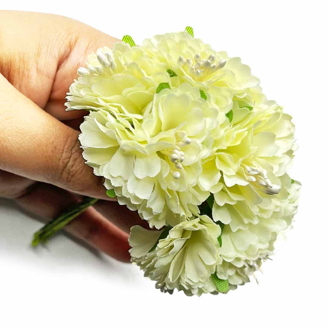 Light Yellow Carnation Flower Seeds For Easy Planting