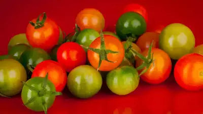 Unique Red And Green Tomato Seeds For Planting In Your Garden