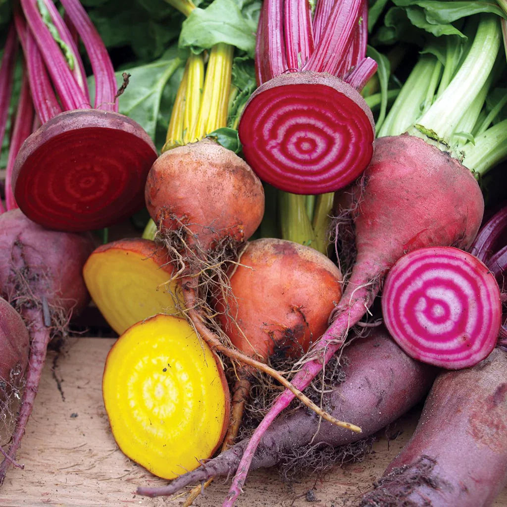 Mixed Beetroot Seeds - Cultivate A Nutritious Harvest