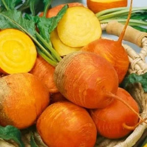 Orange Radish Vegetable Seeds For Planting Seeds