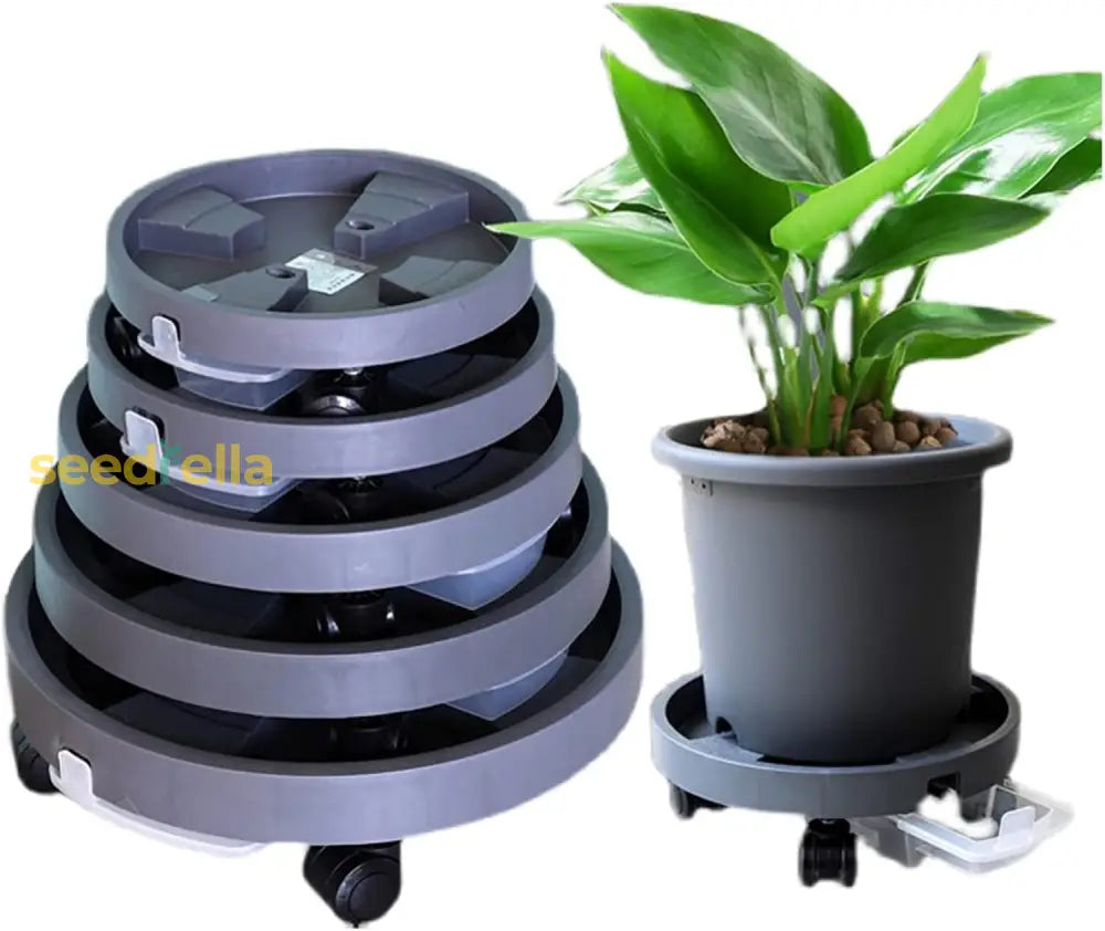 2-Pack 12-Inch Plant Stand With 360° Rolling Casters – Heavy-Duty Caddy For Indoor & Outdoor Use