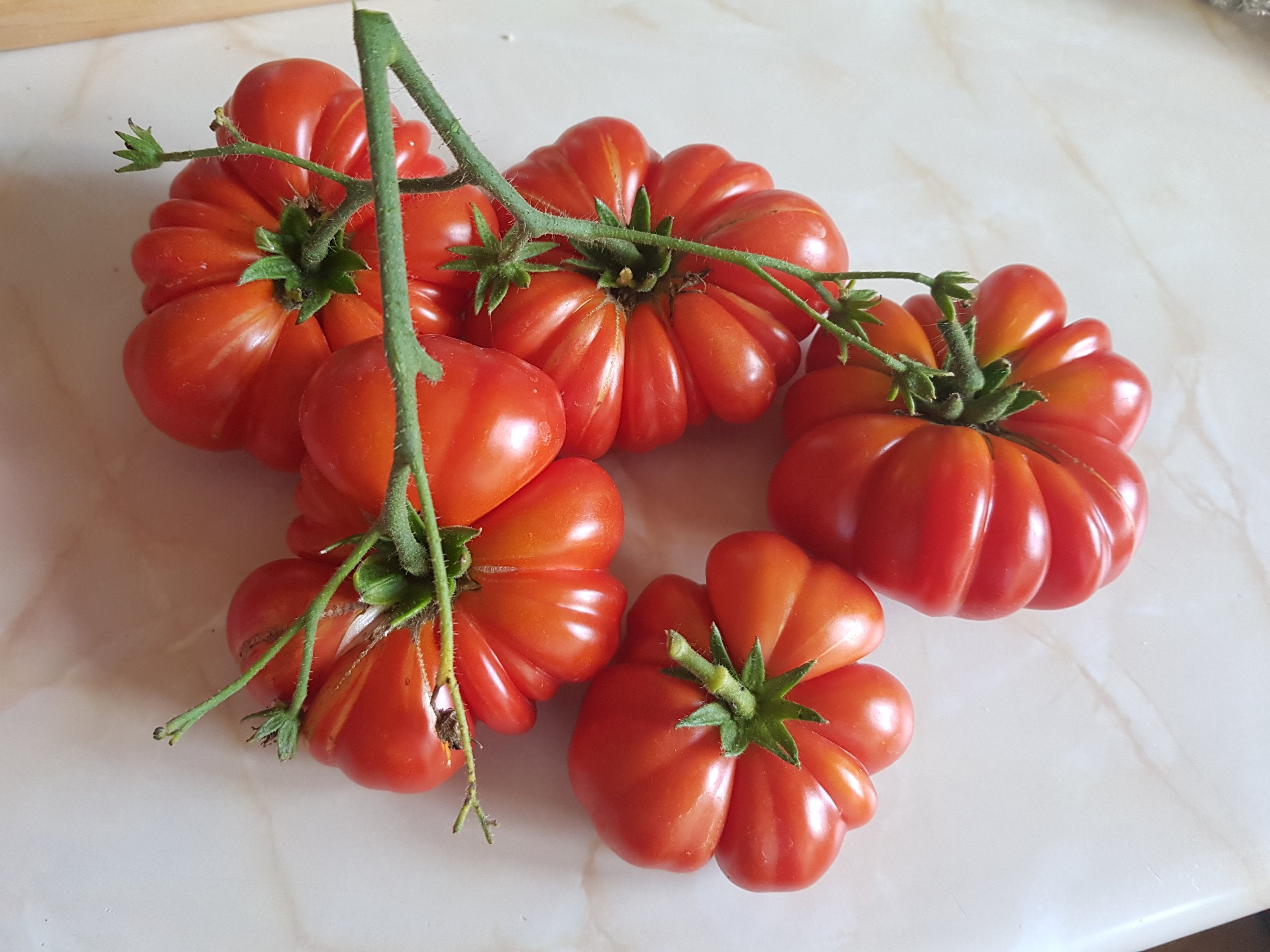 Red Santorini Tomato Seeds For Planting Vegetable Seeds