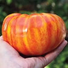 Plant Big Huge Orange Tomato Seeds for a Luscious Harvest