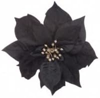 Dark Green Four Leaf Clover Seeds Colorful Display Heirloom & GMO Free Seeds for Home Garden
 
 Sale for planting in home garden