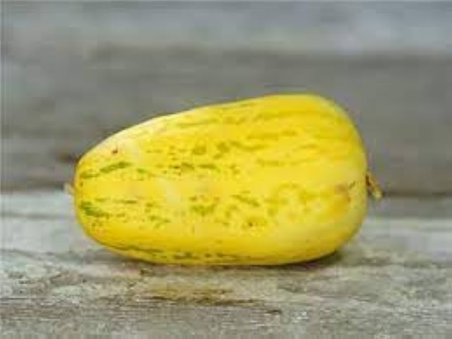 Apple Melon Cucumis melo for planting in sunny garden