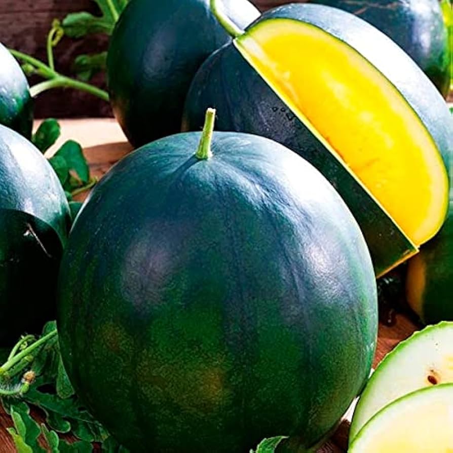 Yellow Yanosik Flower seeds for Planting Shade Tolerant Heirloom & GMO Free Seeds for Home Garden 
 
 Sale seeds for home garden planting