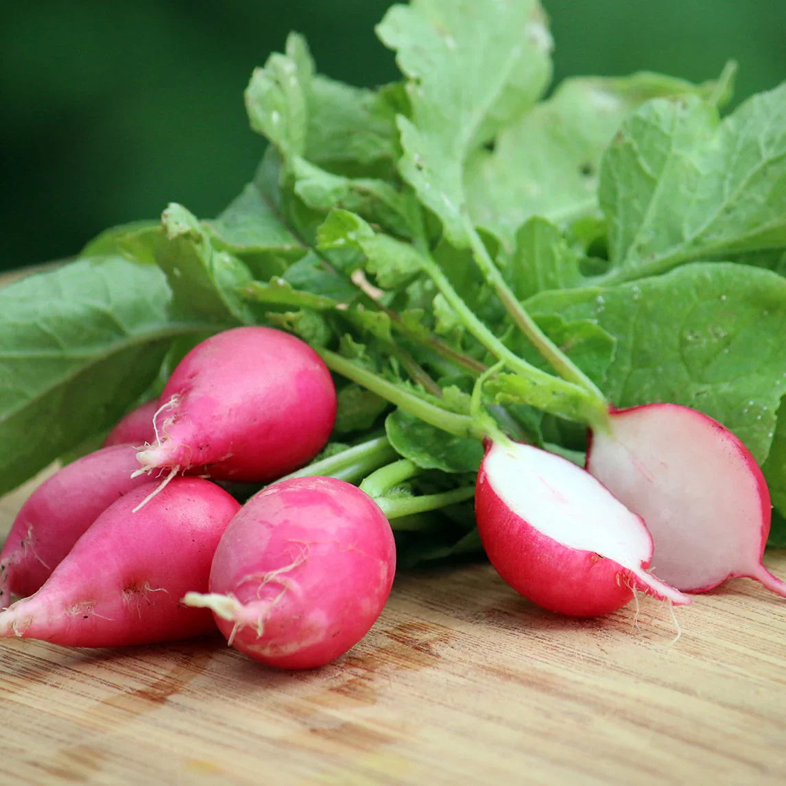 Dark Pink Radish Seeds For Planting - Vibrant Vegetable Variety Seeds