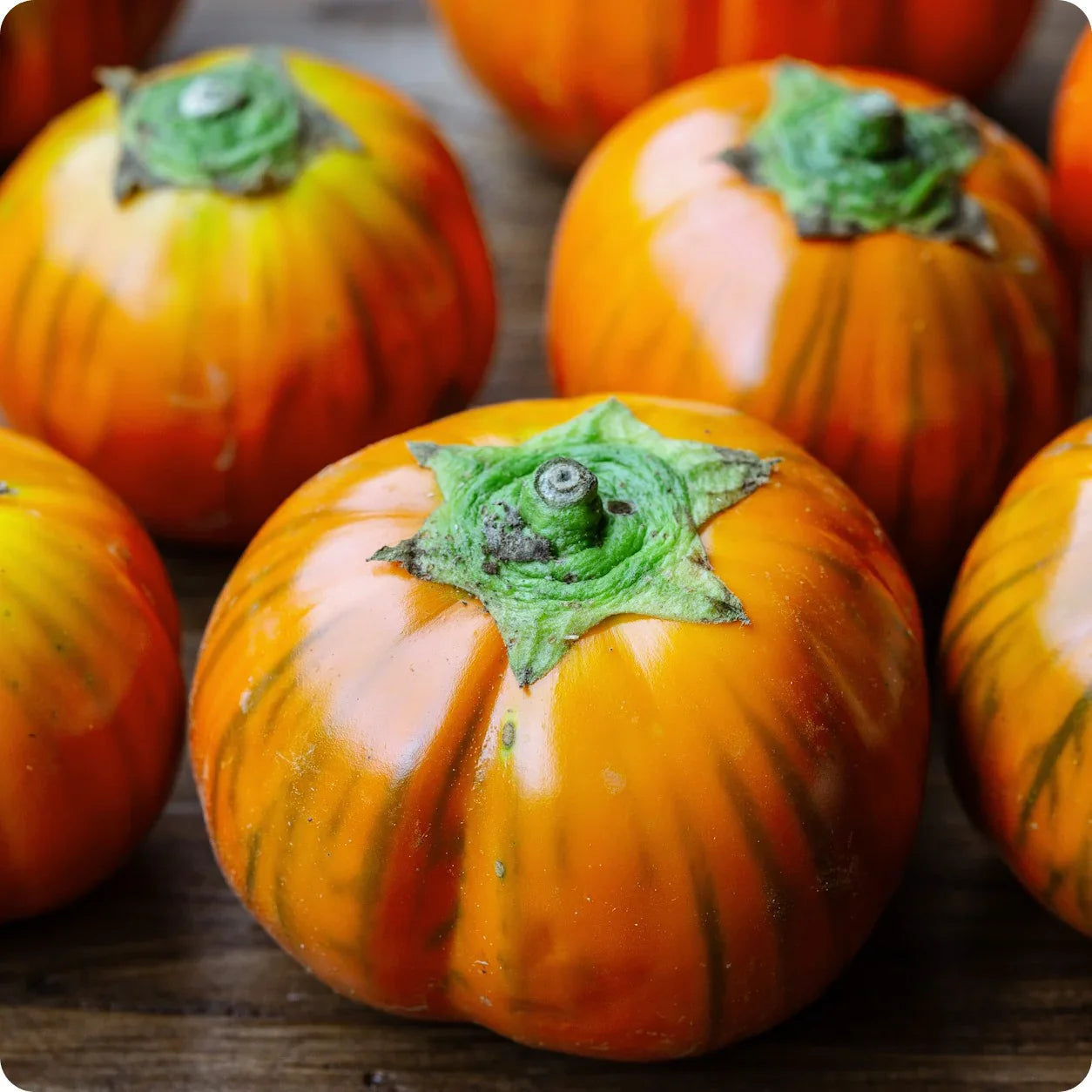 Orange Eggplant Sweet Fruit Seeds For Planting