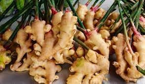 Ginger Seeds: Essential Planting Guide