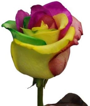 Green Aloe Vera for Planting Garden Favorite Heirloom & GMO Free Seeds for Home Garden 
 
 Sale for planting in home garden