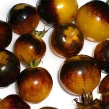 Tomato Seeds For Planting - Red And Yellow Varieties