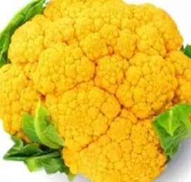 Yellow Cauliflower Seeds For Planting - Grow Vibrant And Delicious In Your Garden Vegetable Seeds