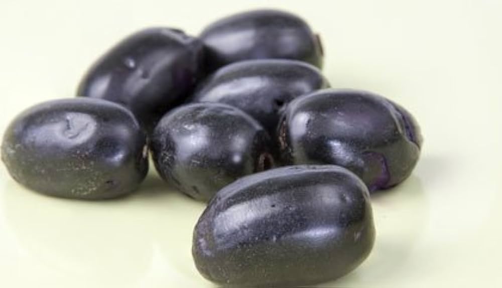 Organic Plum Fruit Seeds Prunus domestica for planting in vegetable patch