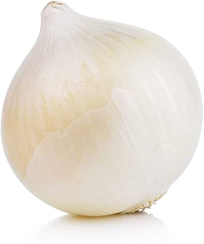 Blond Onion Allium cepa for planting in kitchen garden