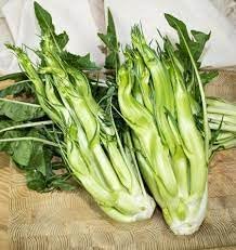 Puntarelle Flower seeds for Planting Vibrant Colors Heirloom & GMO Free Seeds for Home Garden 
 
 Sale for planting in home garden