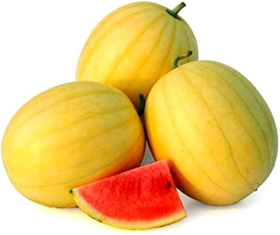 Chinese Watermelon Citrullus lanatus for planting in vegetable patch