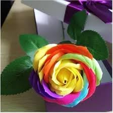 Dark Blue Tulip Flower Seeds for Planting Shade Tolerant Heirloom & GMO Free Seeds for Home Garden
 
 Sale for planting in home garden