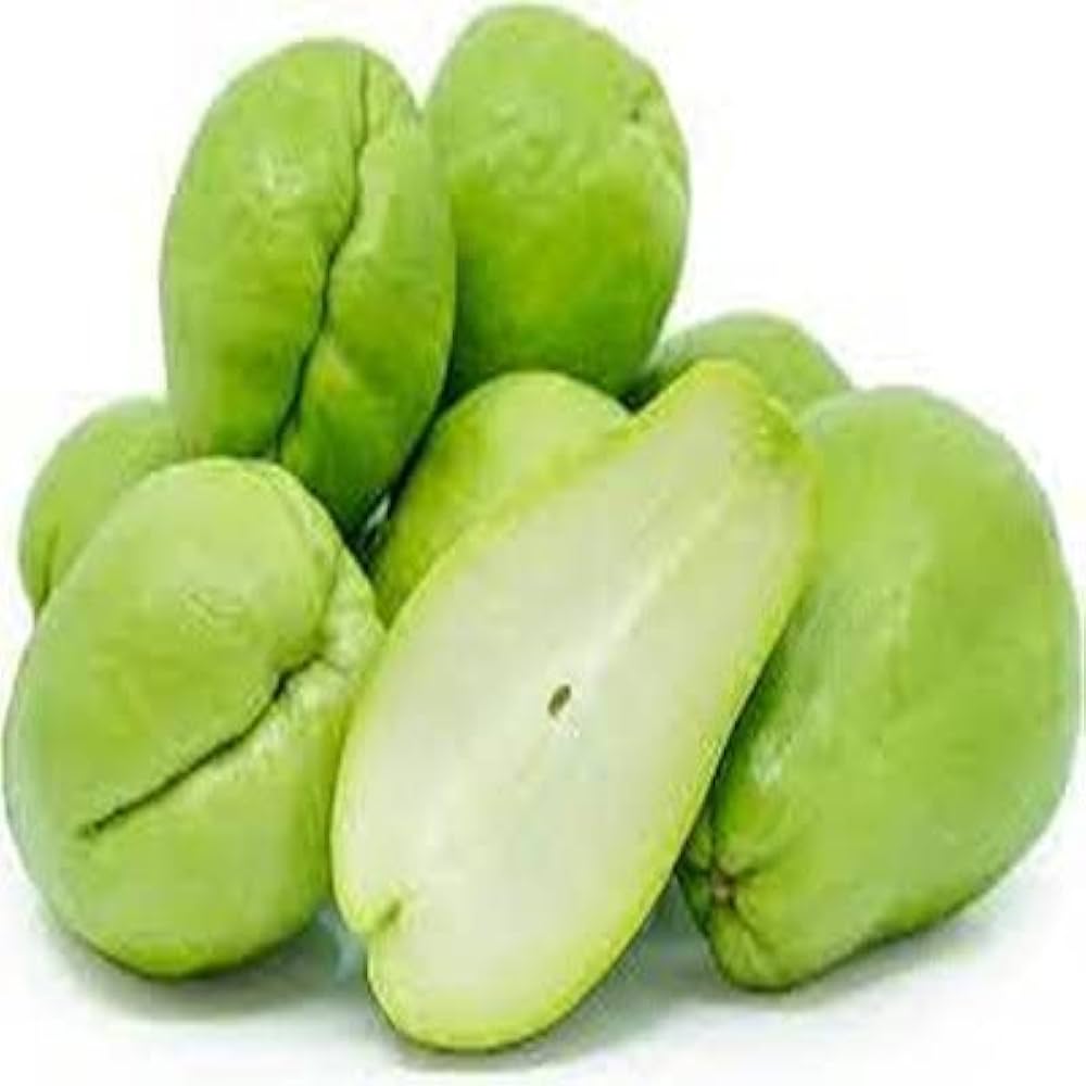 Chayote Sechium edule for planting in vegetable patch