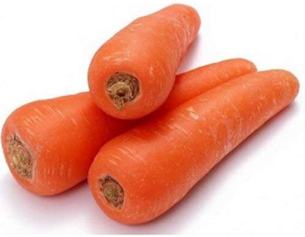 Carrot Daucus Carota for planting in vegetable patch