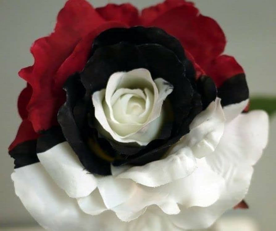 Unique Black Pearl Rose Flower Seeds For Planting | Premium Vibrant Blooms