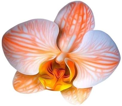 Phalaenopsis Orchid Flower seeds for Planting Colorful Display Heirloom & GMO Free Seeds for Home Garden 
 
 Sale seeds for home garden planting