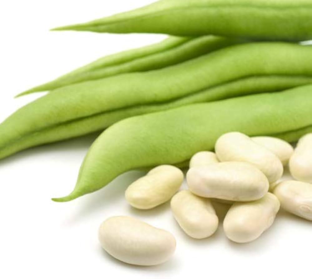 Bean for planting in vegetable patch