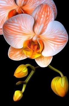 White Epiphyllum Flower Seeds – Fragrant Blooms Heirloom & NonGMO Seeds for Home Garden
 
 Sale for planting in home garden