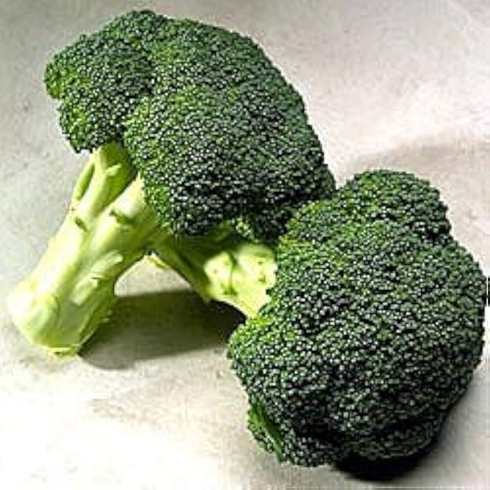 Ac Broccoli Broccoli Waltham 29 Seeds – Heirloom Cold Hardy Crop