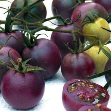 Tomato Vegetable Seeds For Planting Dark Purple