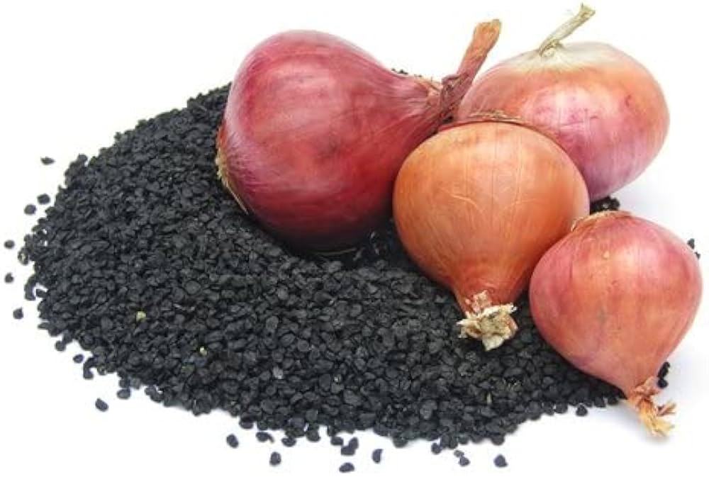 Onion Vegetable Seeds Allium cepa for planting in vegetable patch
