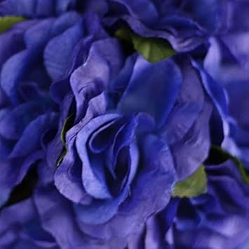 Mixed Colour Home Garden Rose Flower Seeds for Planting Fragrant Blossoms Heirloom & GMO Free Seeds for Home Garden
 
 Sale for planting in home garden