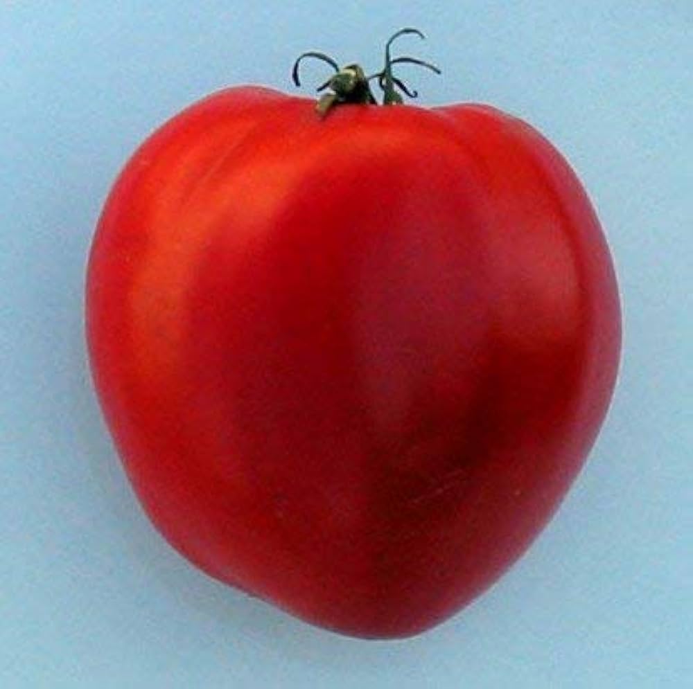 Red Heart Tomato Seeds for Delicious, Heart-Shaped Tomatoes