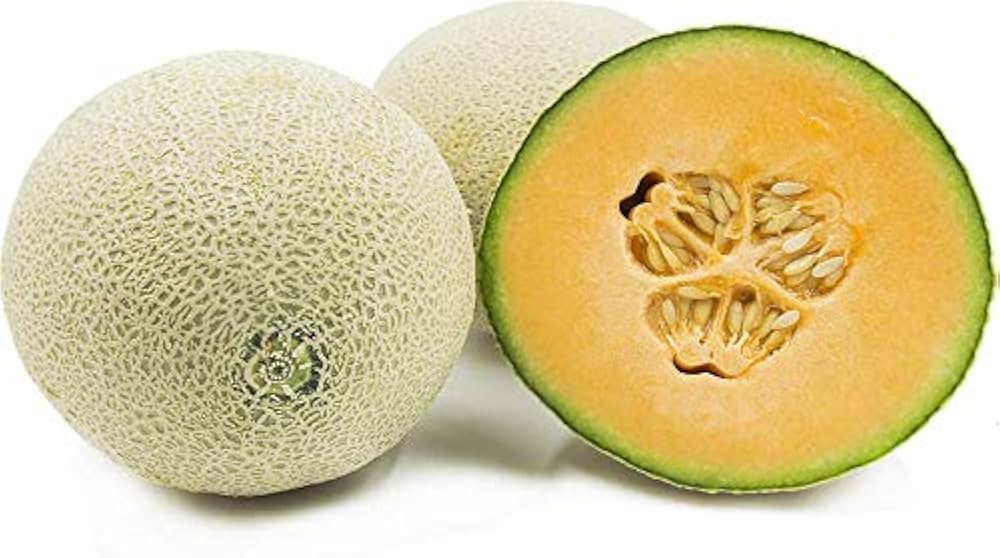 MuskMelon Cucumis melo for planting in vegetable patch
