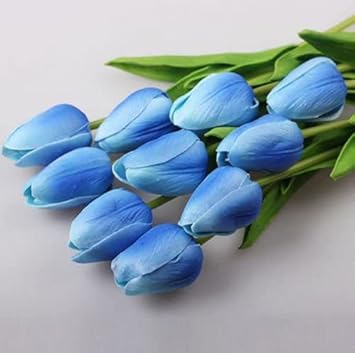 Tulip Flower Seeds Sky Blue Flower seeds for Planting - Cut Flower Favorite, Heirloom & GMO Free Seeds for Home Garden
 
 Sale for planting in home garden.