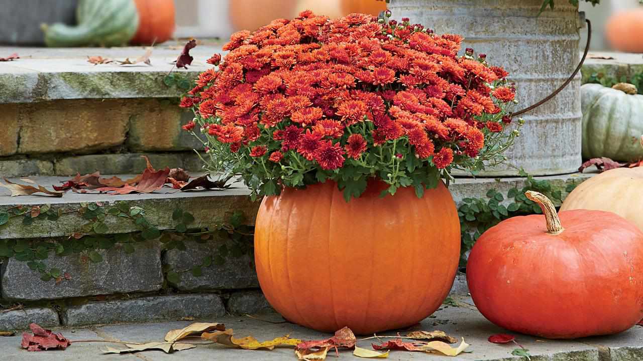 Autumn Planting Flower Seeds