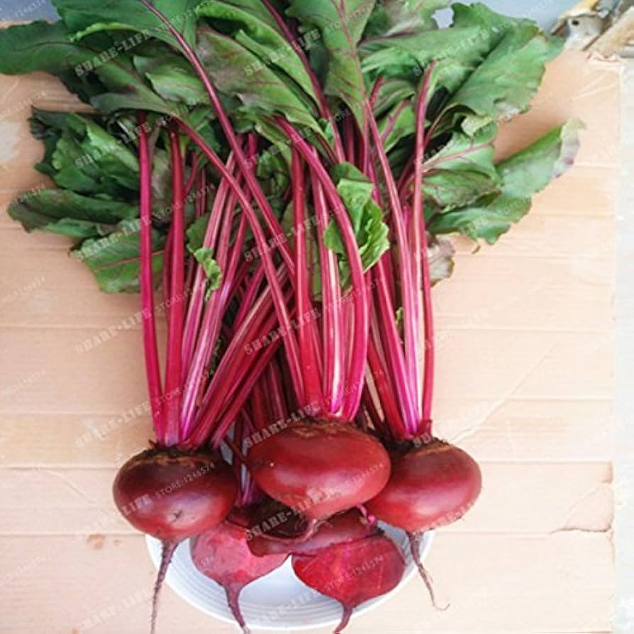Rare Vulgaris Beetroot Seeds for garden