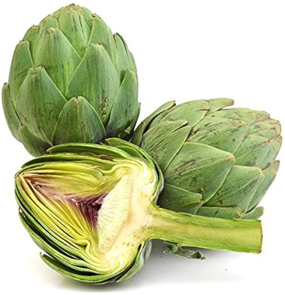 Jerusalem Cynara scolymus for planting in vegetable patch