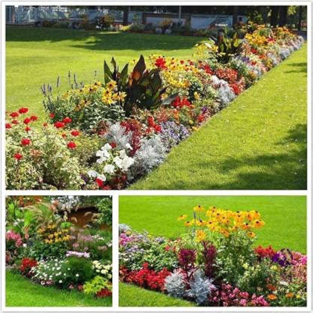 Mixed butterflies wildflower seeds for pollinator gardens