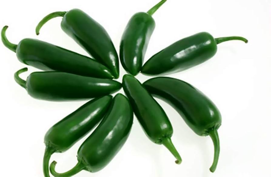 Jalapeno Capsicum annuum for planting in vegetable patch