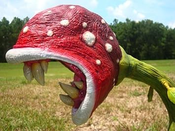 Enchantress Flower seeds for Planting - Colorful Display, Heirloom & GMO Free Seeds for Home Garden
 
 Sale seeds for home garden