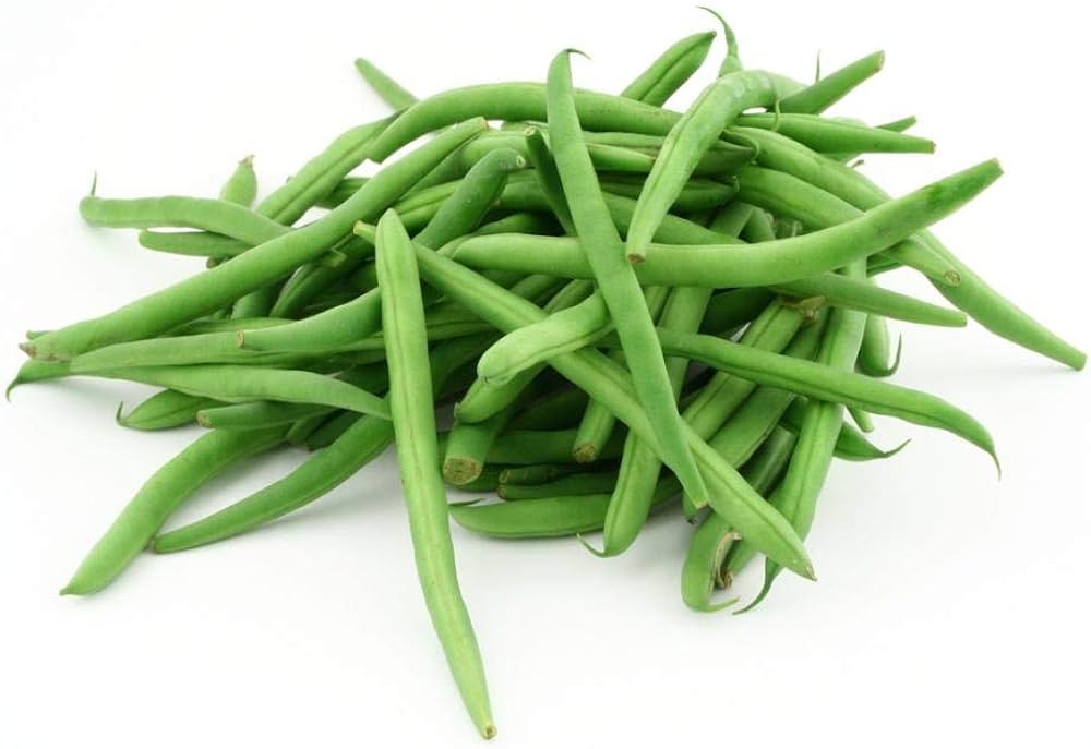 Pole Bean Vegetable Seeds Phaseolus vulgaris for planting in vegetable patch