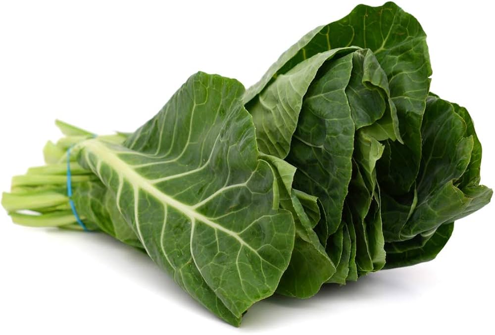 Champion Collard Greens Brassica oleracea for planting