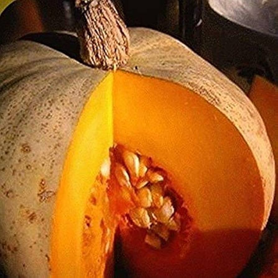 Sweet Flesh Winter Squash Seeds heirloom variety