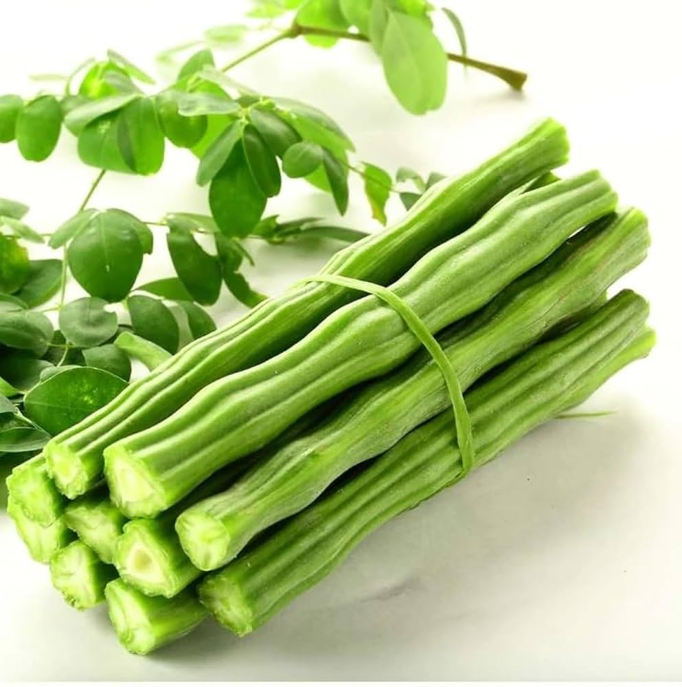 Drumstick Tree Moringa oleifera for planting in vegetable patch