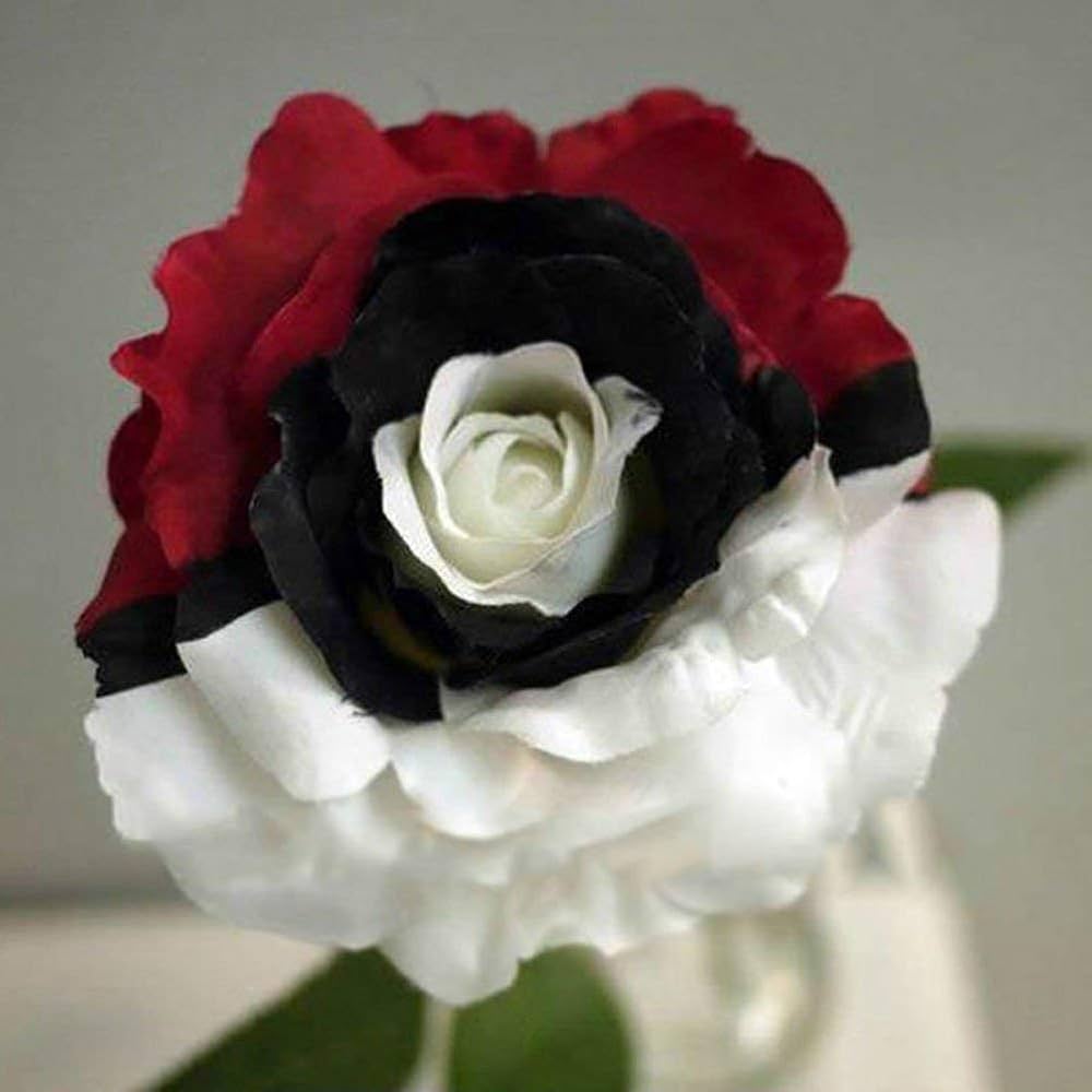 Splendid Rare Red, White, and Black Rose Flower seeds for Planting - Cottage Garden Essential, Heirloom & GMO Free Seeds for Home Garden
 
 Sale for planting in home garden