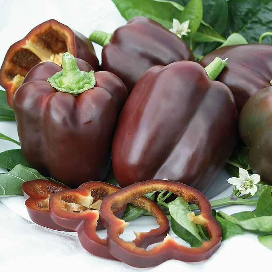 Pepper Seeds Chocolate Beauty Heirloom