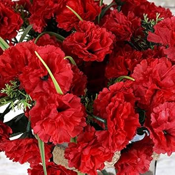 Pale Pink Rainbow Rose Flower Seeds for Planting Colorful Display Heirloom & GMO Free Seeds for Home Garden
 
 Sale for planting in home garden