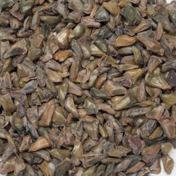 Abies Koreana Flower seeds for Planting - Shade Tolerant, Heirloom & GMO Free Seeds for Home Garden
 
 Sale for planting in home garden.