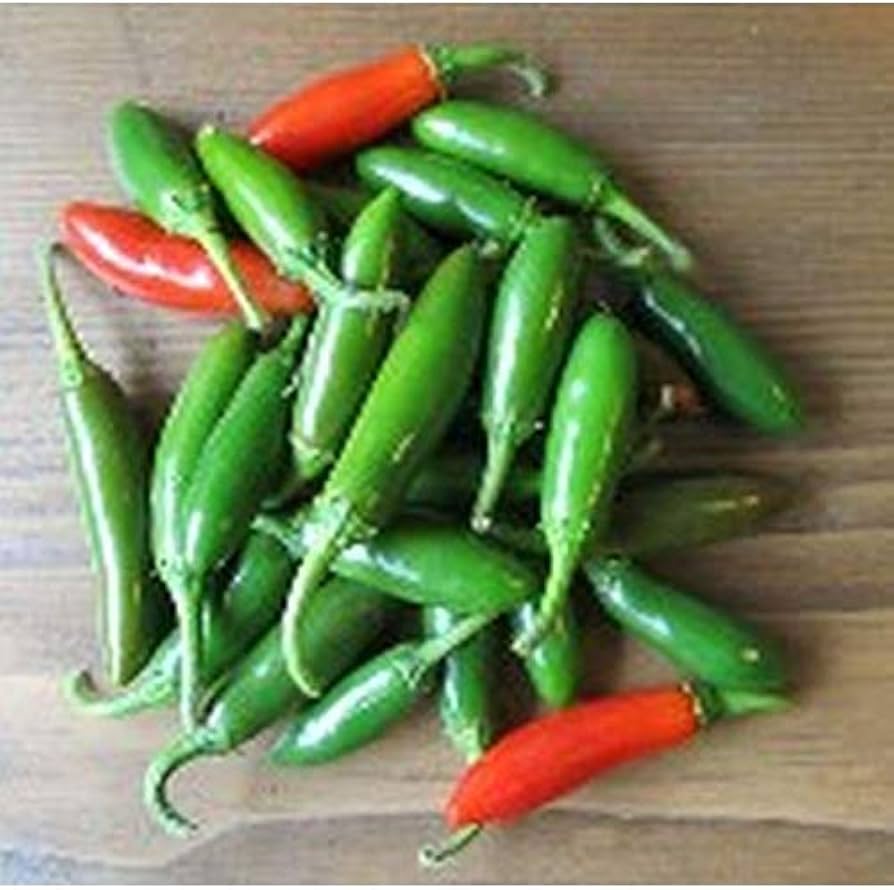Mexican Pepper Capsicum Annuum Seeds for planting in spice garden